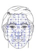 Visage réflexologie faciale